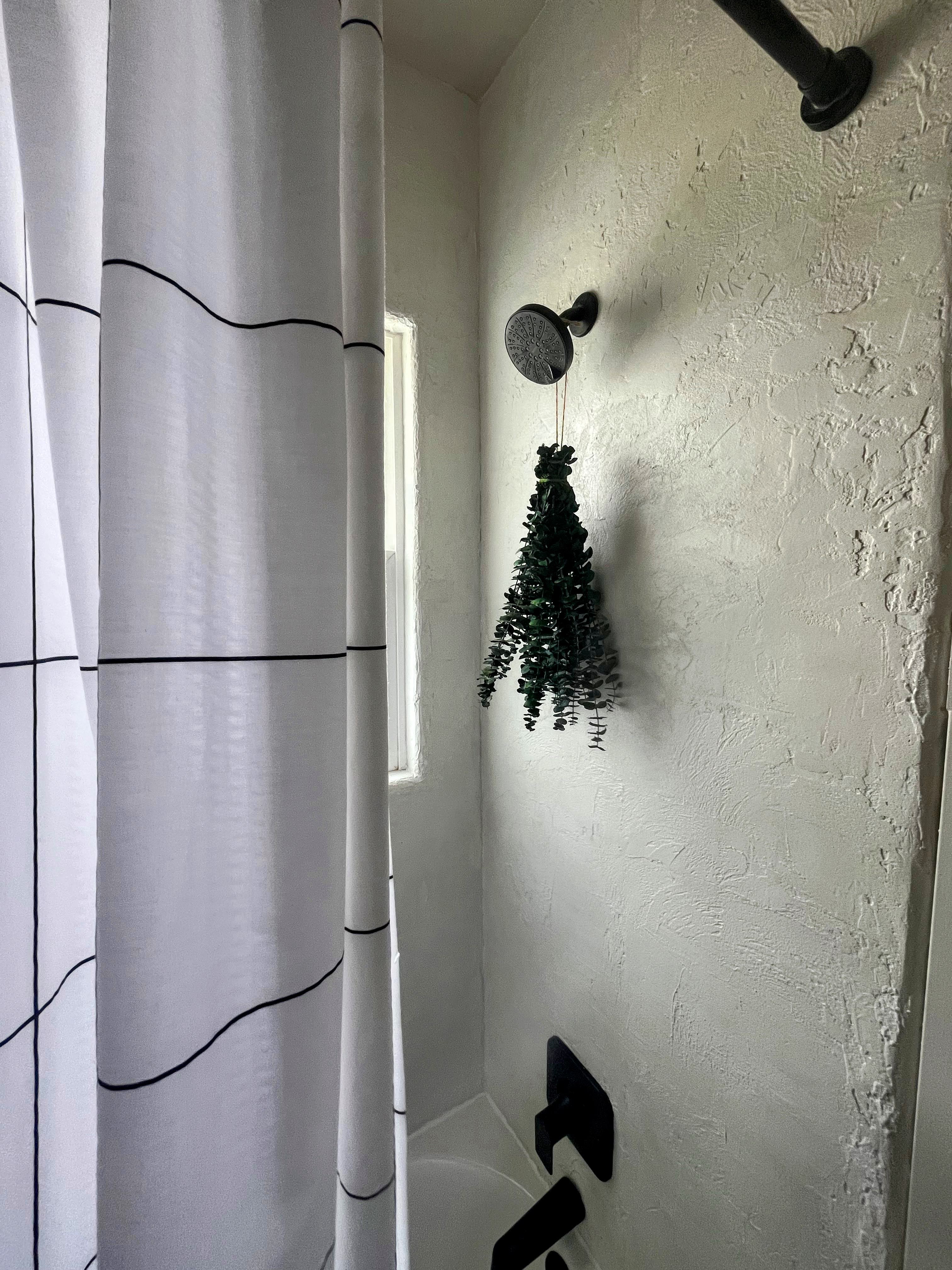 No Demo Shower Remo – Using Water Resistant Plaster!